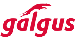 Galgus